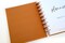 2025 Planner - Horizontal Layout, Disc Bound - "Golden Leaves" (#707)